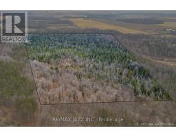 0 Ballyduff Road, Kawartha Lakes, ON L0A1K0 Photo 16