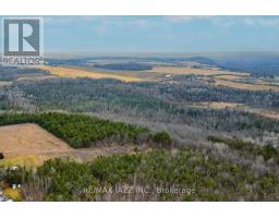 0 Ballyduff Road, Kawartha Lakes, ON L0A1K0 Photo 17