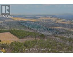 0 Ballyduff Road, Kawartha Lakes, ON L0A1K0 Photo 18