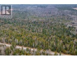 0 Ballyduff Road, Kawartha Lakes, ON L0A1K0 Photo 6