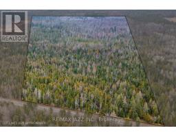 0 Ballyduff Road, Kawartha Lakes, ON L0A1K0 Photo 7