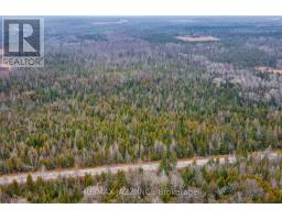 0 Ballyduff Road, Kawartha Lakes, ON L0A1K0 Photo 8