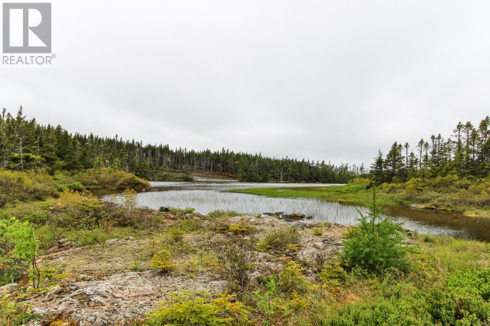 101B Mill Road, Brigus Junction, Newfoundland & Labrador, A1B1G0, Brigus Junction, Newfoundland & Labrador — photo 4 of 5