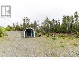 101b Mill Road, Brigus Junction, NL A0B1G0 Photo 33