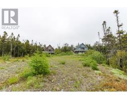 101b Mill Road, Brigus Junction, NL A0B1G0 Photo 36