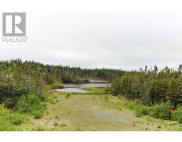 101b Mill Road, Brigus Junction, NL A0B1G0 Photo 37