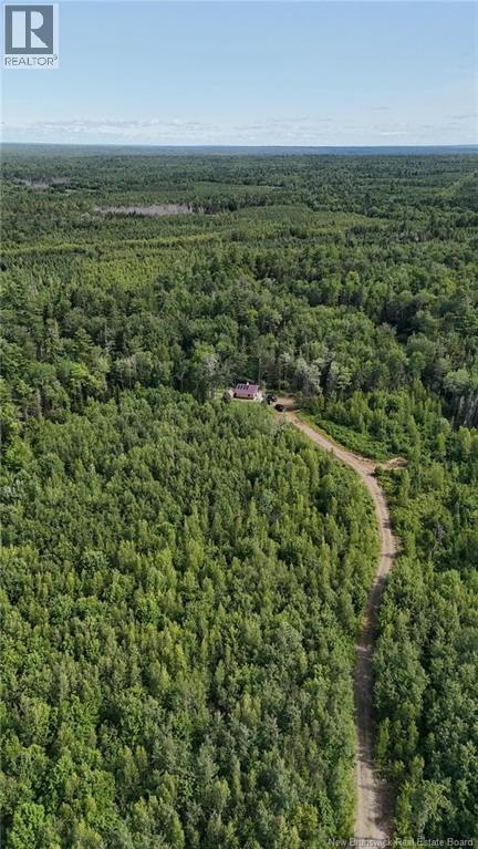 Camp O'Leary Road - 42
