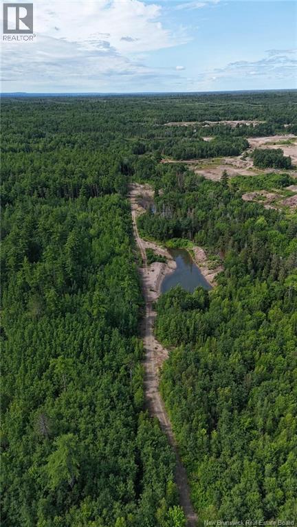 Camp O'Leary Road - 46
