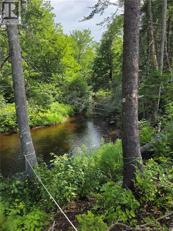 Camp O'Leary Road - 30