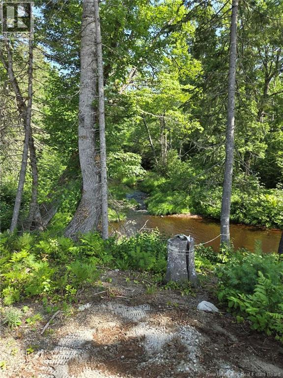 Camp O'Leary Road - 28