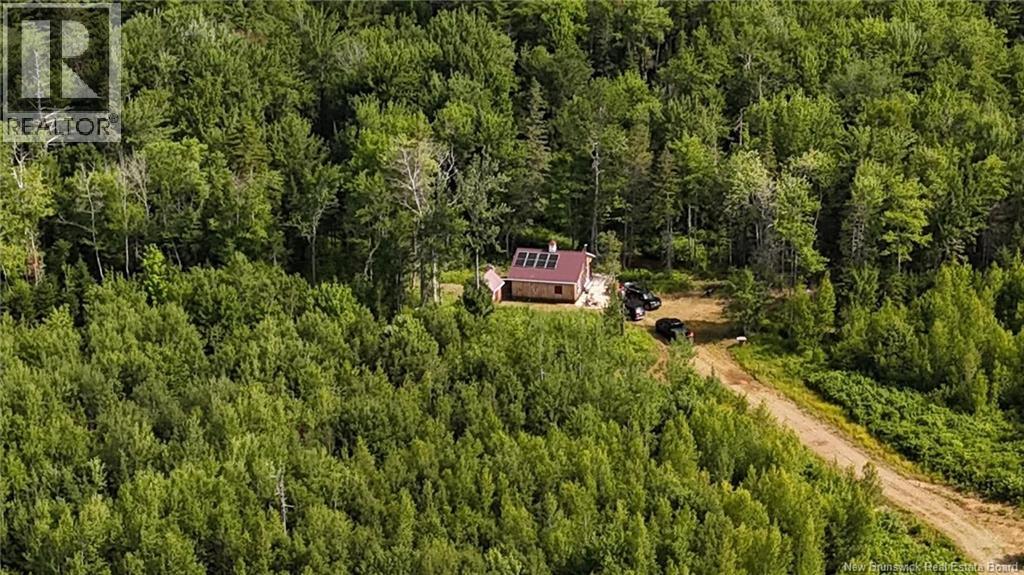 Camp O'Leary Road - 35