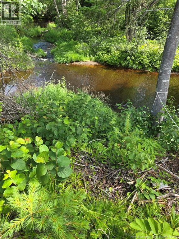 Camp O'Leary Road - 26