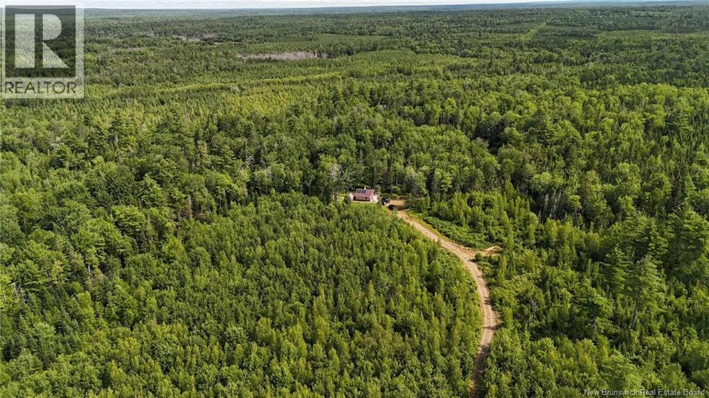 Camp O'Leary Road - 33