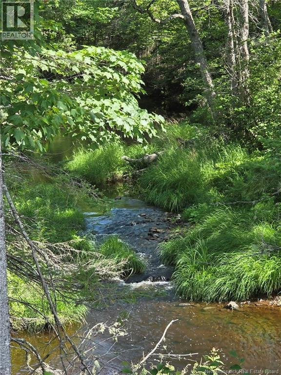 Camp O'Leary Road - 29