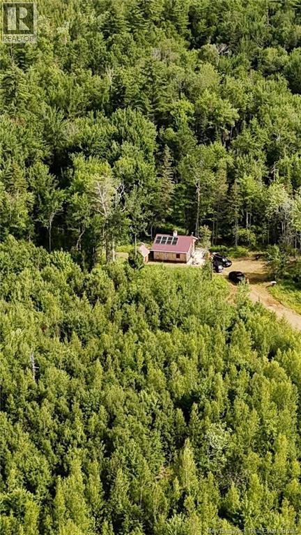 Camp O'Leary Road - 34
