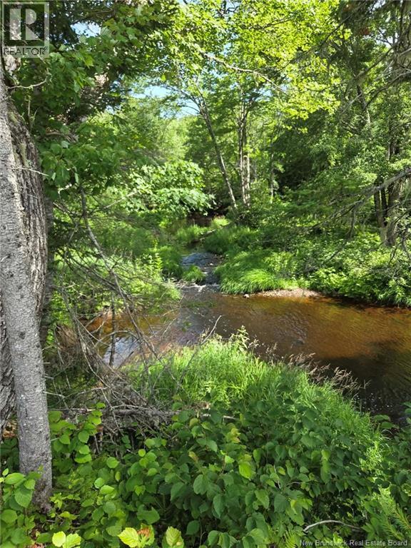 Camp O'Leary Road - 27