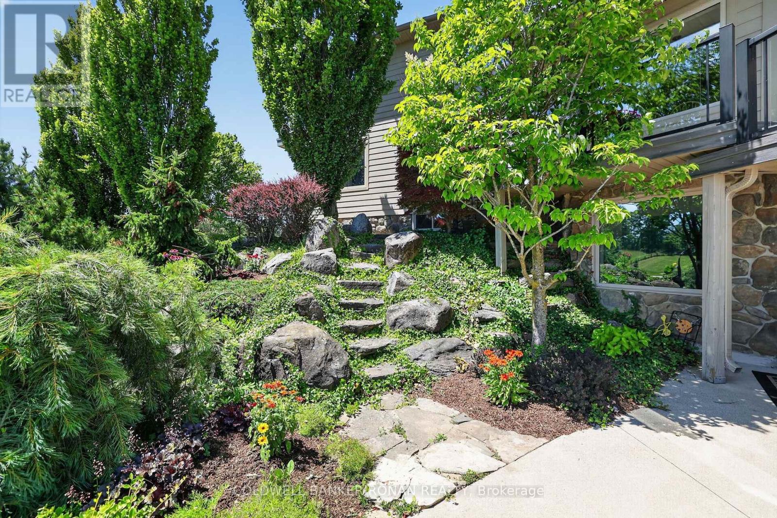 18250 DUFFY'S LANE - Image 46