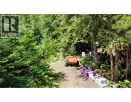 6240 Lake Street, Kaslo, BC V0G1M0 Photo 28