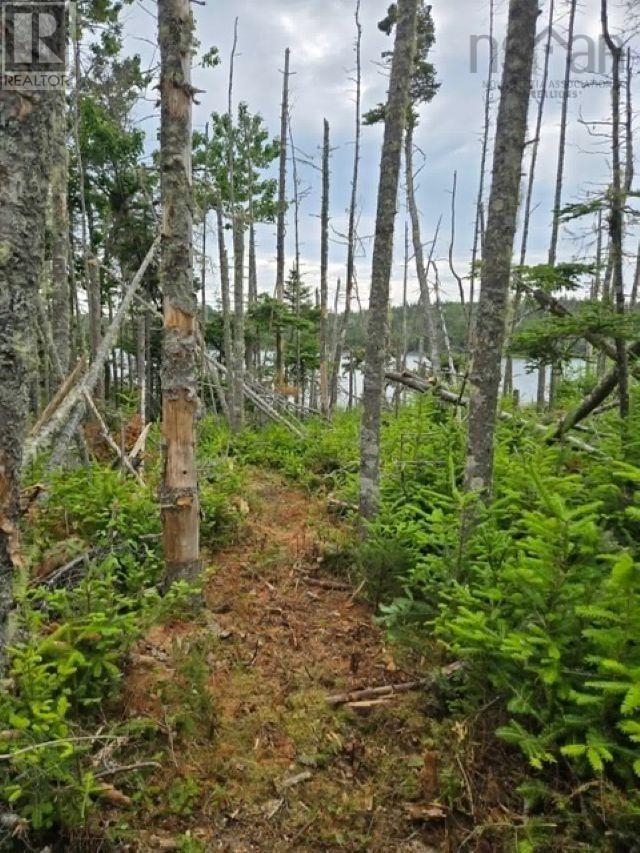 Property 7 of 20 of Grant 22407 Sober Island Road