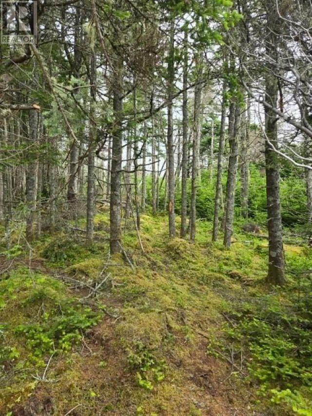 Property 8 of 20 of Grant 22407 Sober Island Road
