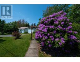 999 Mushaboom Road, Mushaboom, NS B0J3H0 Photo 38