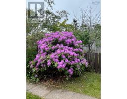 999 Mushaboom Road, Mushaboom, NS B0J3H0 Photo 18