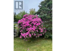 999 Mushaboom Road, Mushaboom, NS B0J3H0 Photo 20