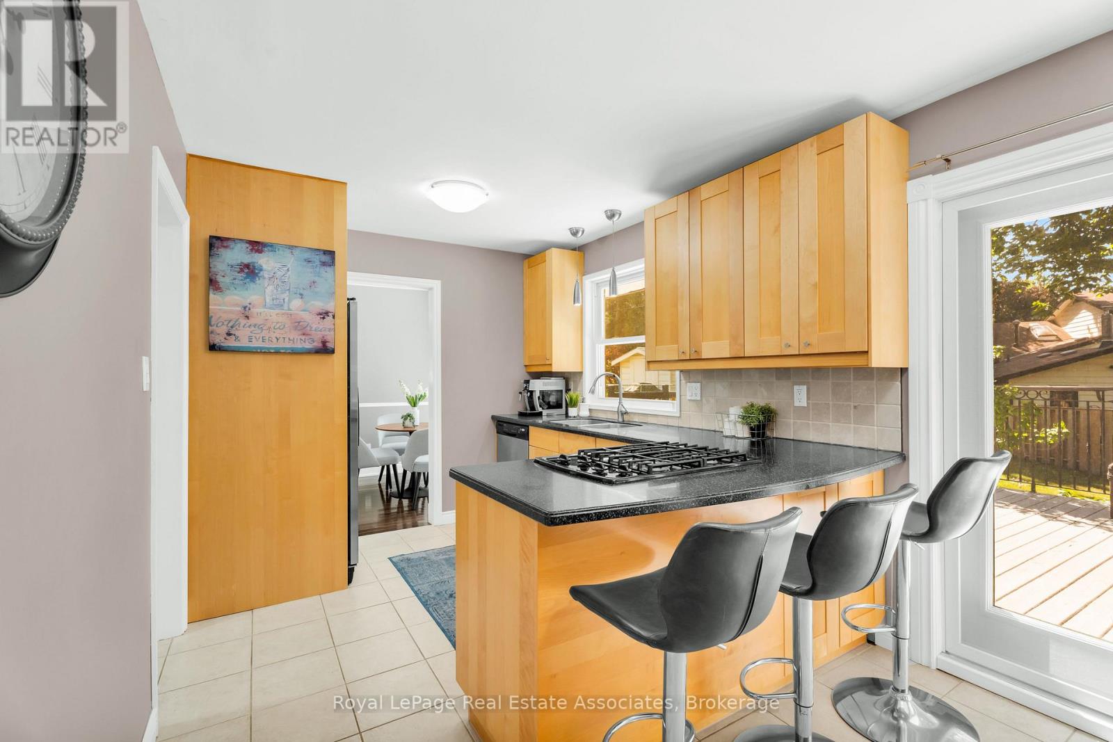 233 ELMORE DRIVE - 15