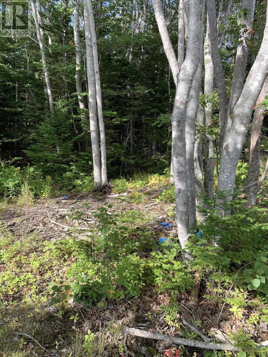 Property 13 of 19 of 126 Belleville South Road