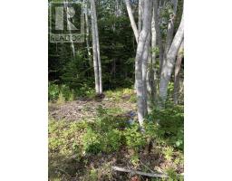 126 Belleville South Road, Tusket, NS B0W3M0 Photo 13
