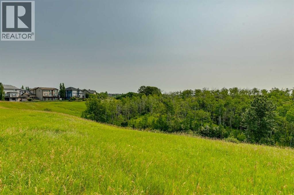 101 Drake Landing View - 49