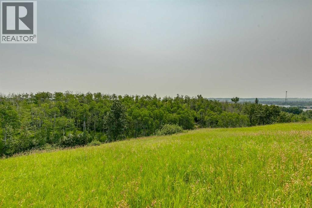 101 Drake Landing View - 48