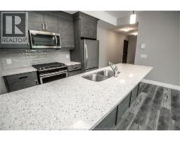 Laundry room - 5840 Newman Unit# 205, Lasalle, ON N9H1S5 Photo 6