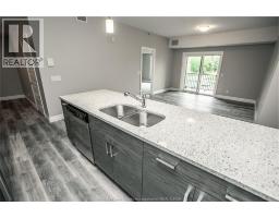 Kitchen - 5840 Newman Unit# 205, Lasalle, ON N9H1S5 Photo 8