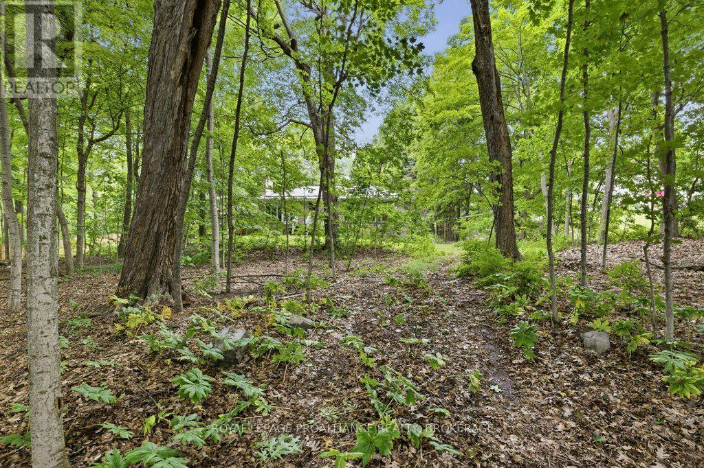 12 ORIOLE LANE - 38