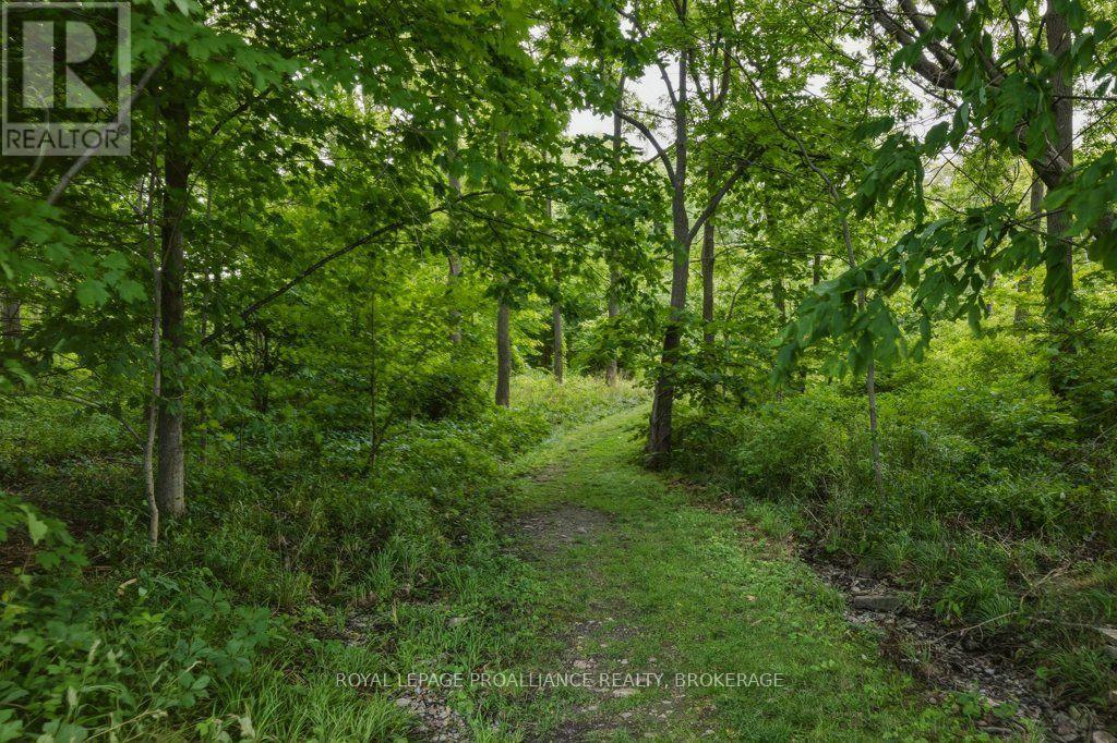 12 ORIOLE LANE - 40