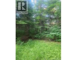 37.8 Hec Bettsburg Road, photo 5
