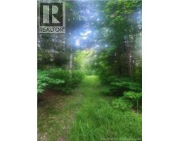 37.8 Hec Bettsburg Road, Bettsburg, NB E9C1L1 Photo 6