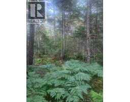 37.8 Hec Bettsburg Road, Bettsburg, NB E9C1L1 Photo 7