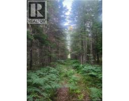 37.8 Hec Bettsburg Road, Bettsburg, NB E9C1L1 Photo 8