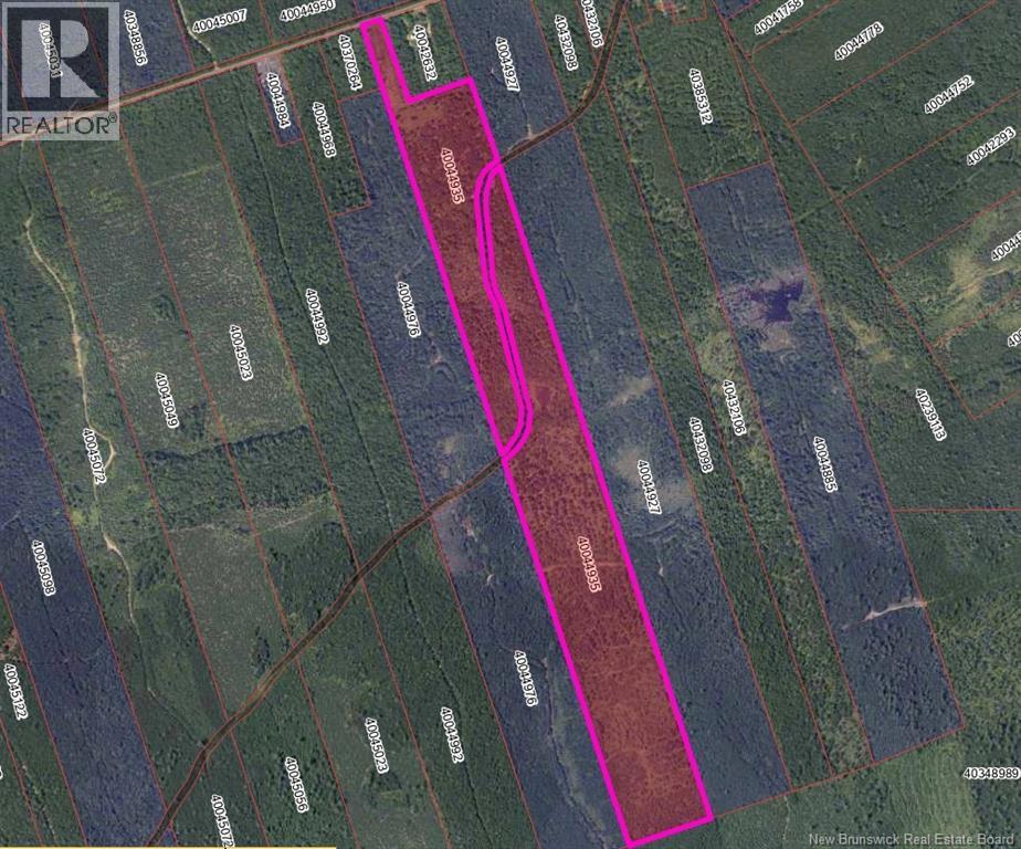 37.8 Hec Bettsburg Road, Bettsburg — photo 3