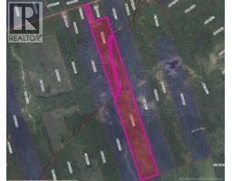 37.8 Hec Bettsburg Road, photo 3
