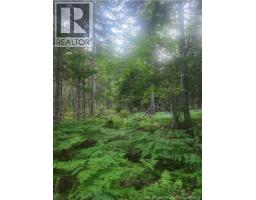 37.8 Hec Bettsburg Road, Bettsburg, NB E9C1L1 Photo 9