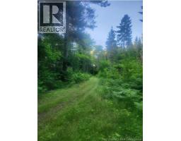 37.8 Hec Bettsburg Road, Bettsburg, NB E9C1L1 Photo 10