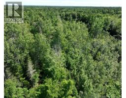 37.8 Hec Bettsburg Road, Bettsburg, NB E9C1L1 Photo 19