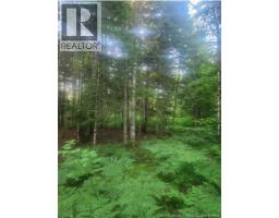 37.8 Hec Bettsburg Road, Bettsburg, NB E9C1L1 Photo 11