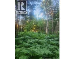 37.8 Hec Bettsburg Road, Bettsburg, NB E9C1L1 Photo 13