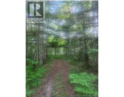 37.8 Hec Bettsburg Road, Bettsburg, NB E9C1L1 Photo 15