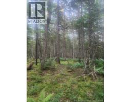 37.8 Hec Bettsburg Road, Bettsburg, NB E9C1L1 Photo 14