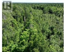 37.8 Hec Bettsburg Road, Bettsburg, NB E9C1L1 Photo 16